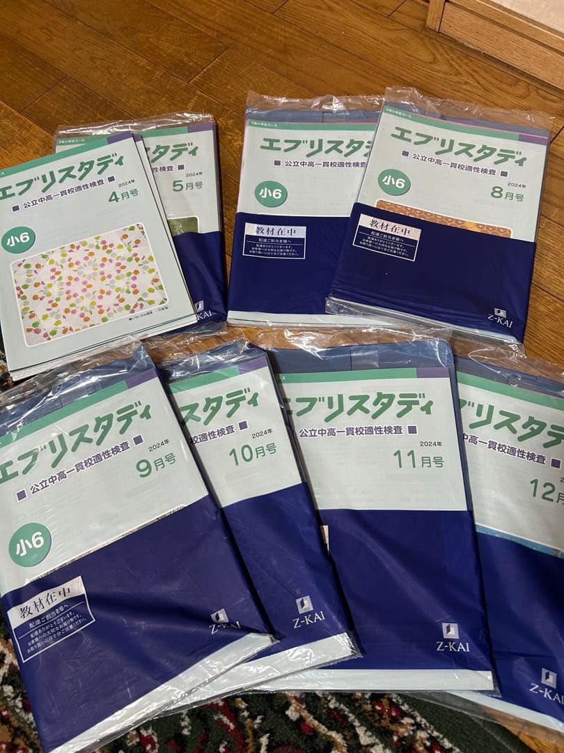 エブリスタディ　中高一貫校　小６　2024年