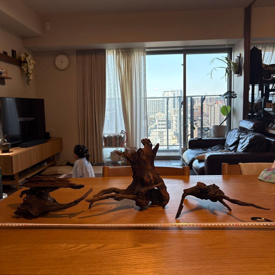 ADA流木　6点（まとめ買いの場合は500円引き）