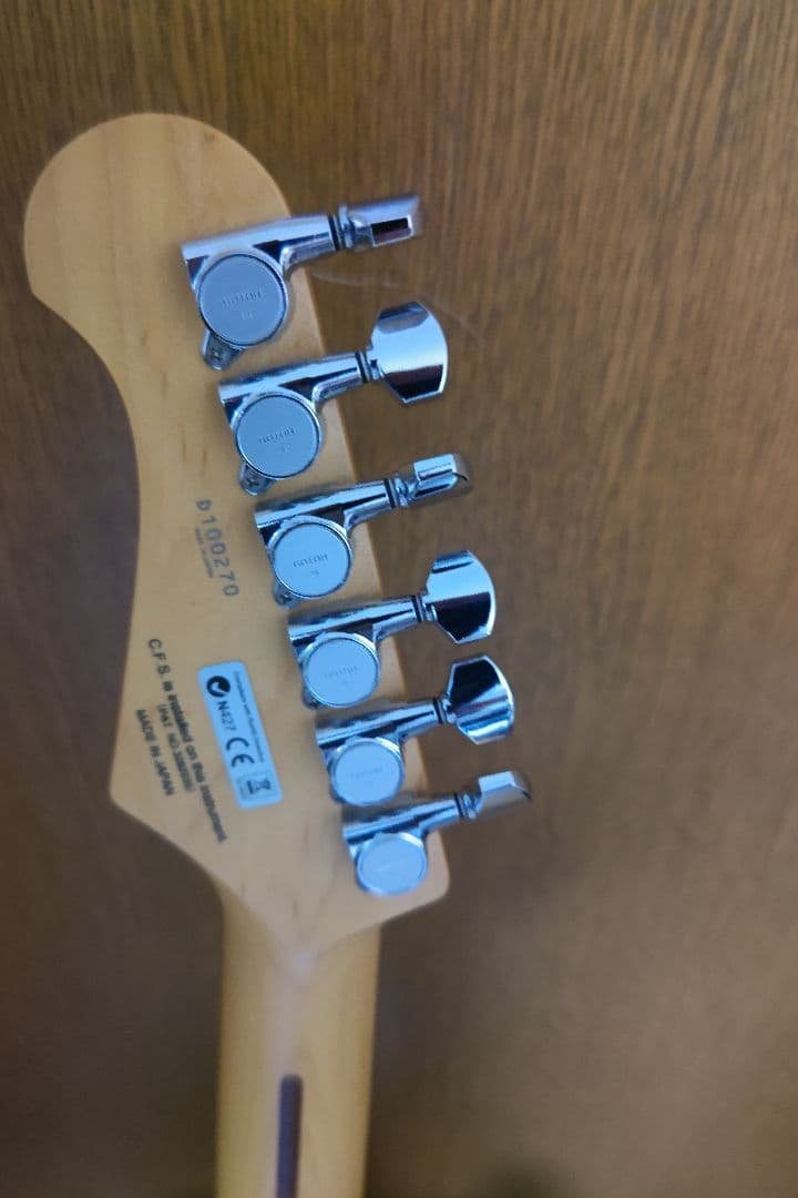 ギター FGN Stratocaster