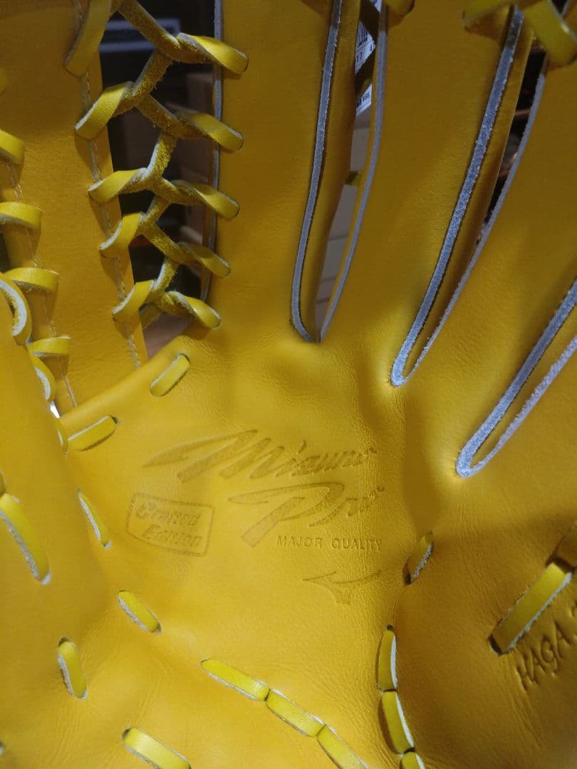 MizunoPro 硬式グローブ