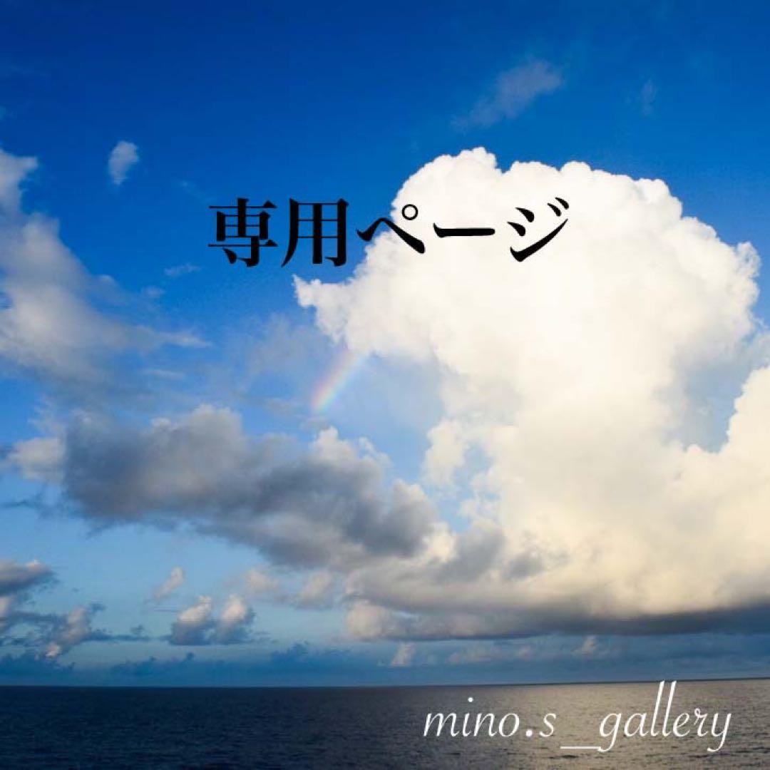 【専用】skygray様