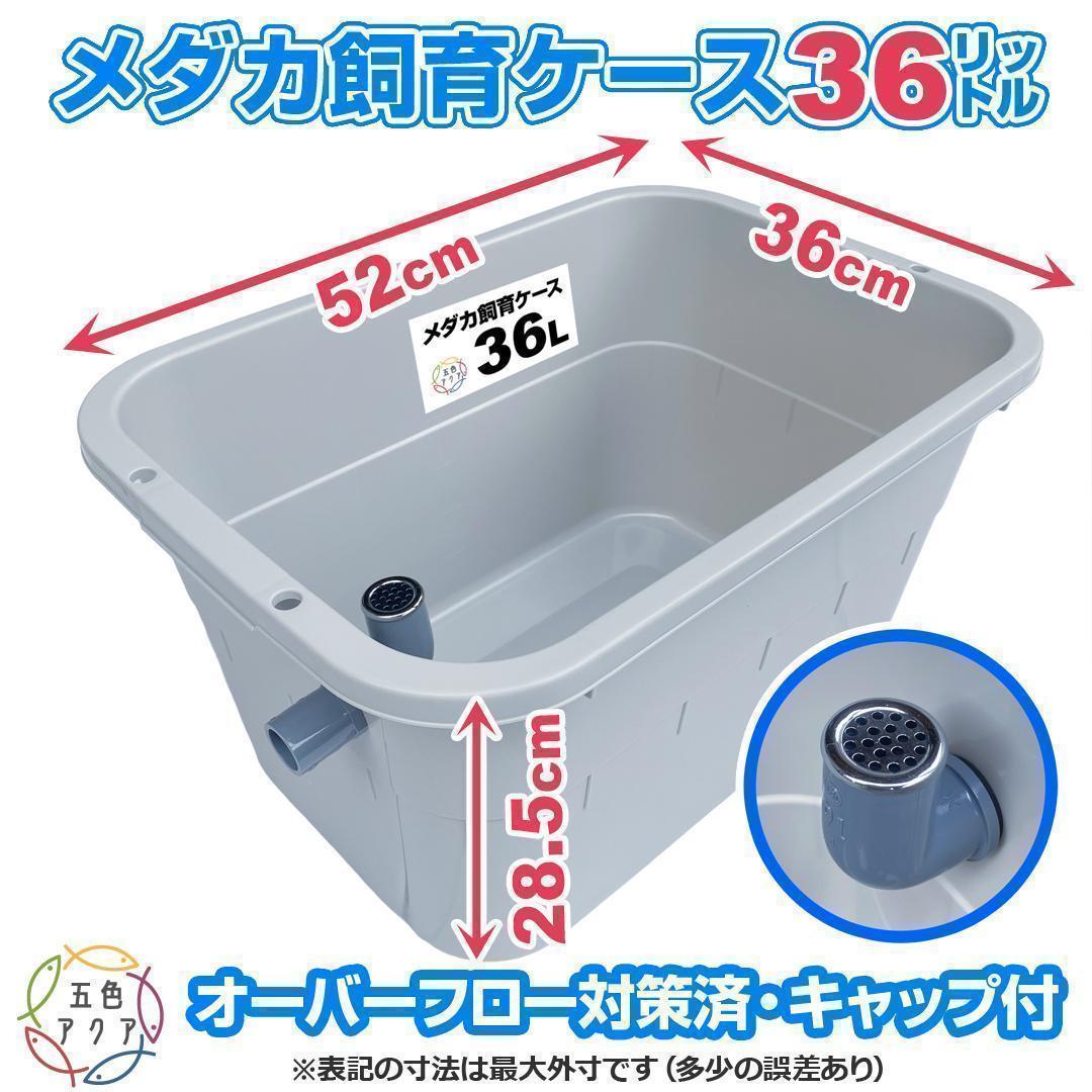 メダカ飼育ケース 36㍑x4個（4色あり）オーバーフロー対策済 金魚鉢ビオトープ