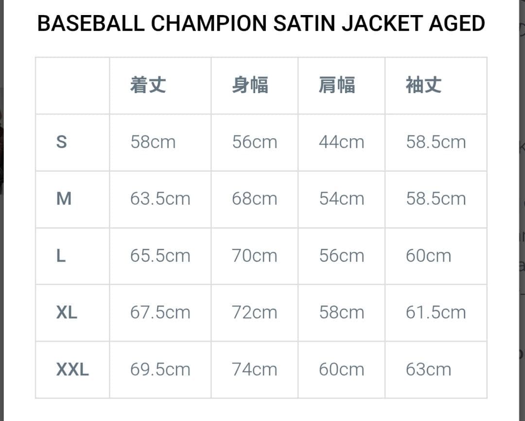 新品■BOWWOW BASEBALL CHAMPION SATIN JACKET