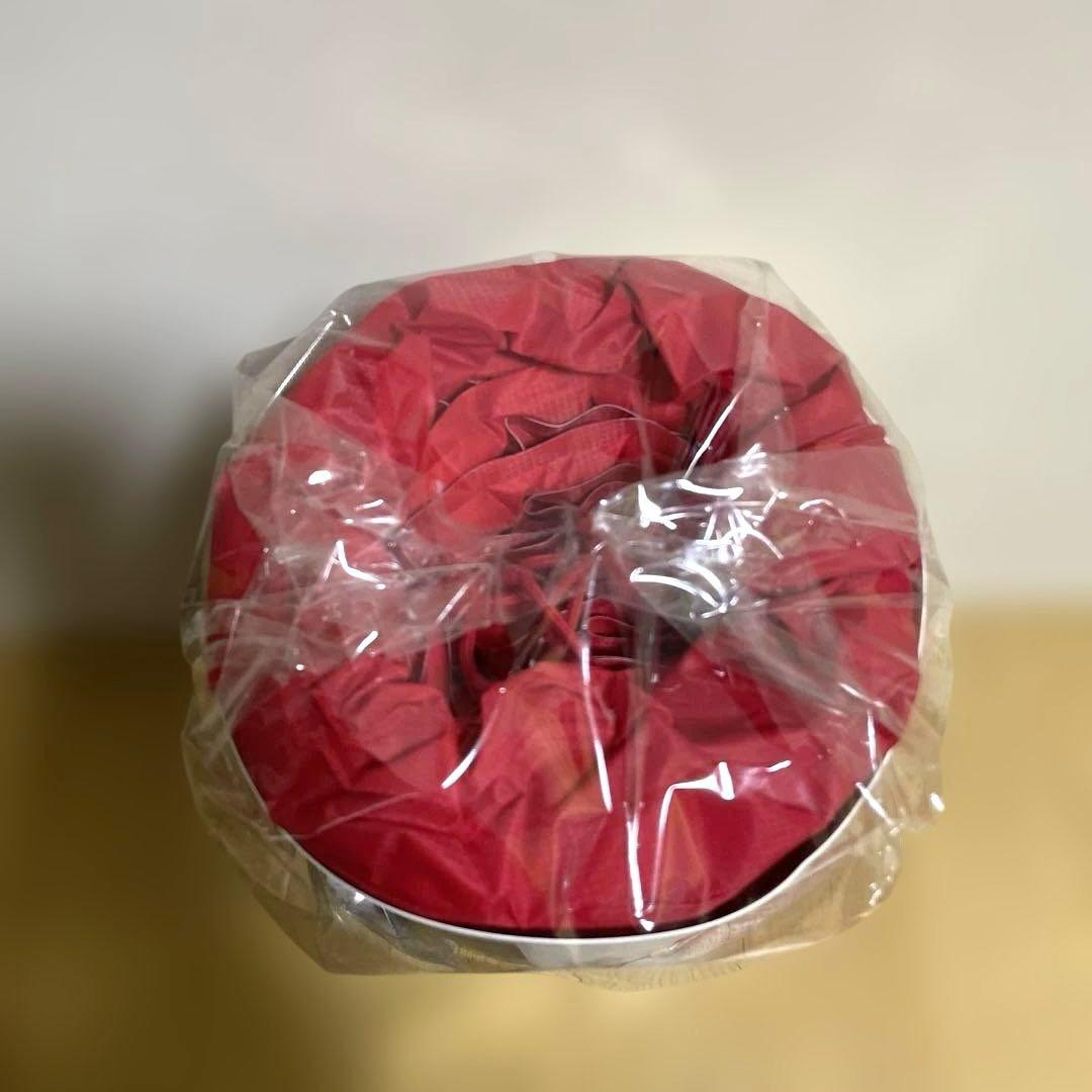 アウトドア寝具 Supreme / Sea to Summit Sleeping Mat Red