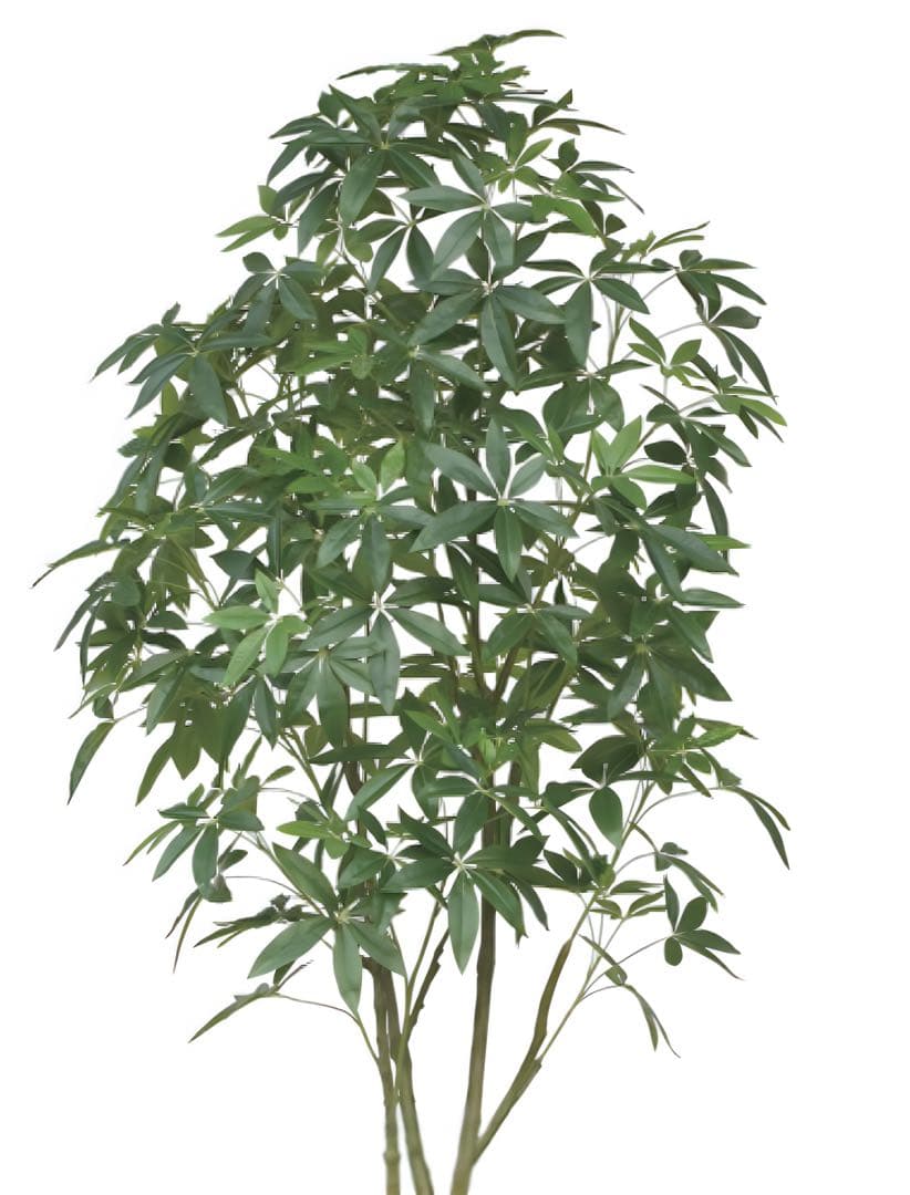 光触媒　人工観葉植物　フェイクグリーン　ナチュラルパキラ2.5
