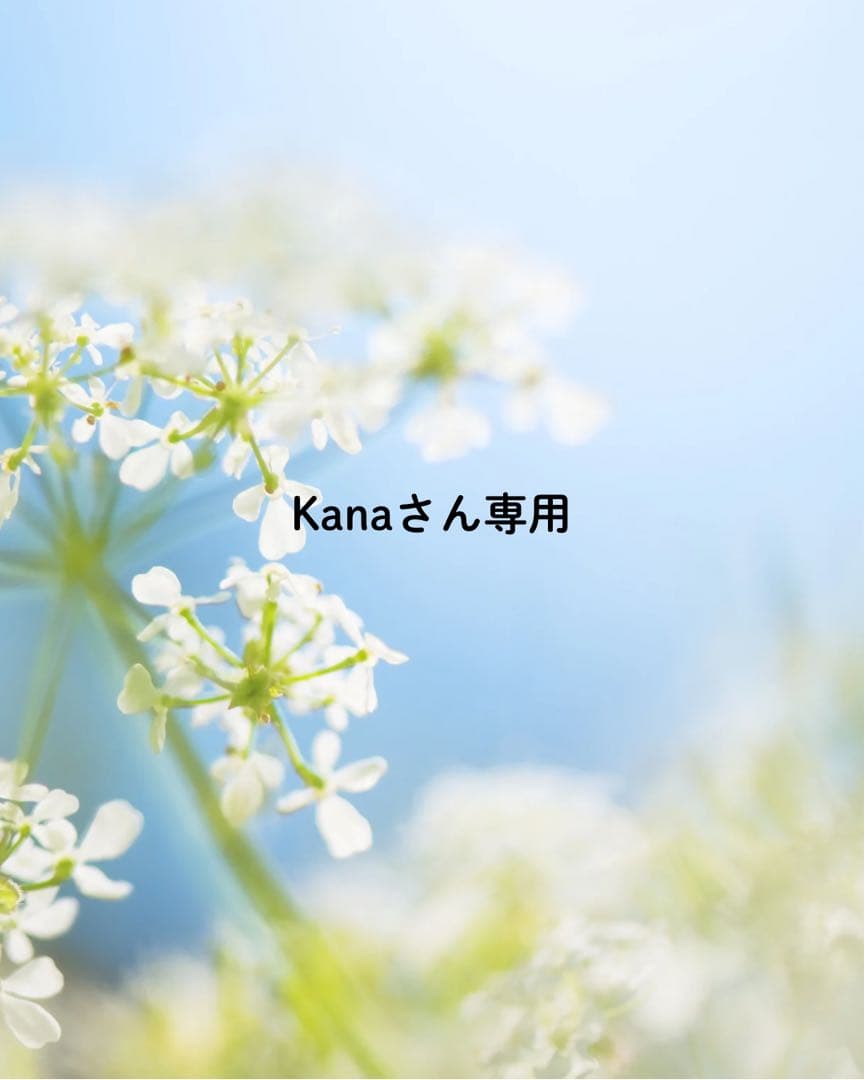 Kanaさん専用