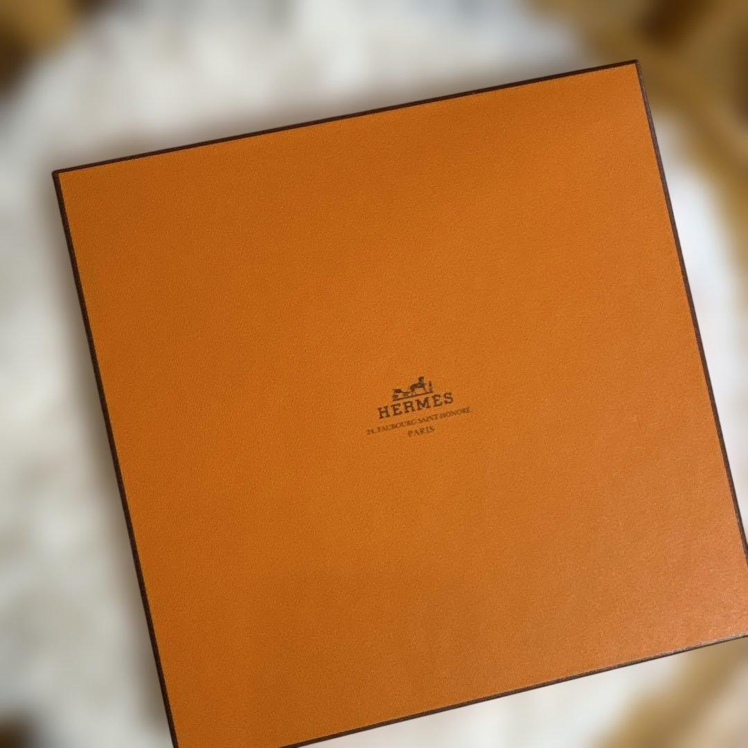 HERMES シルクスカーフ 42✖️42