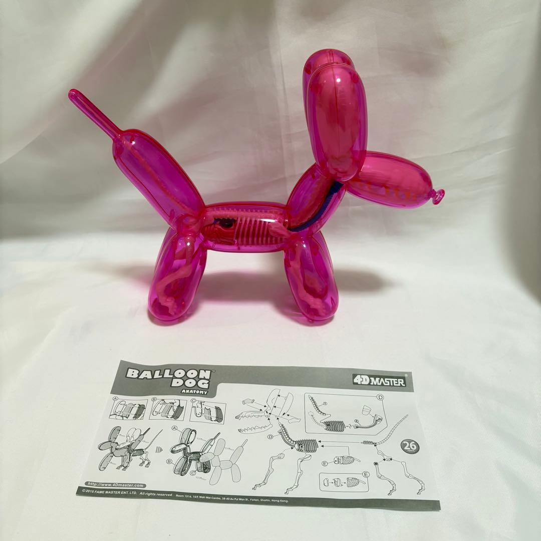 4d master フォーディーマスター バルーンドッグ　スケルトン　ピンク
