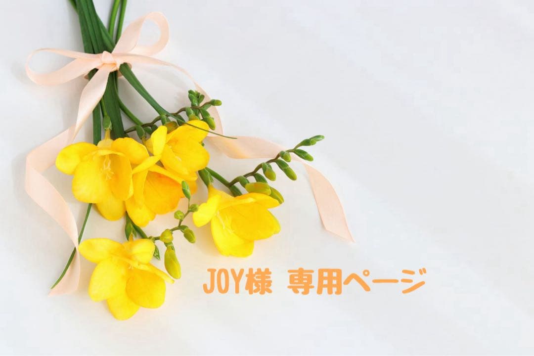 JOY様 ♡ 専用ページ