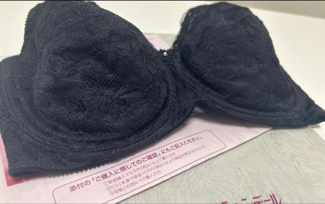 小太郎のお母さん専用・シャンデールブラE75・ガードル76