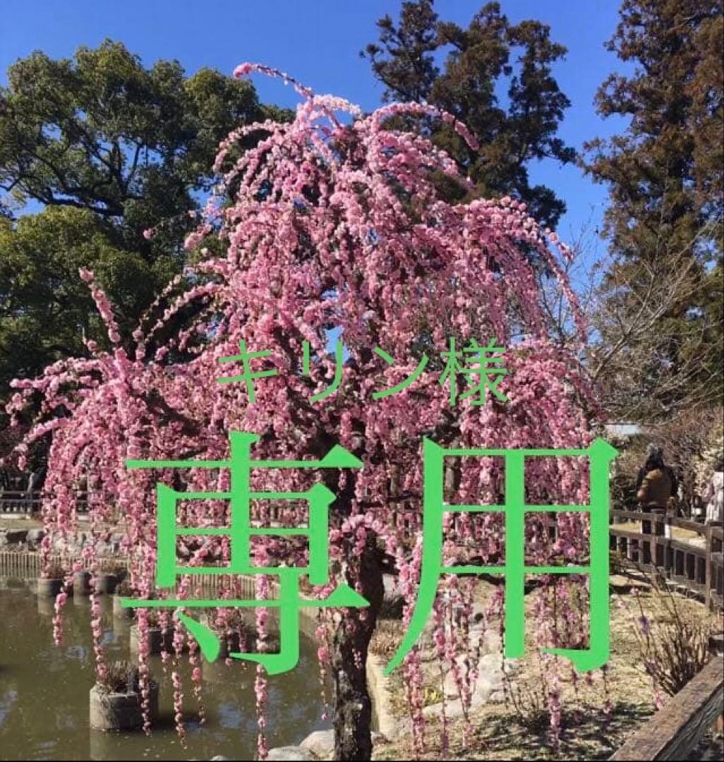 キリン品