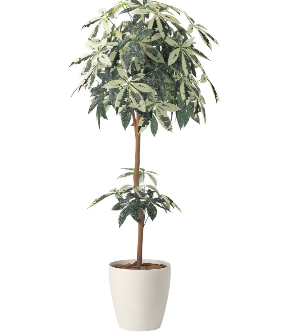 光触媒　人工観葉植物　ウォールグリーン　フェイクグリーン　ミルキーパキラ1.6