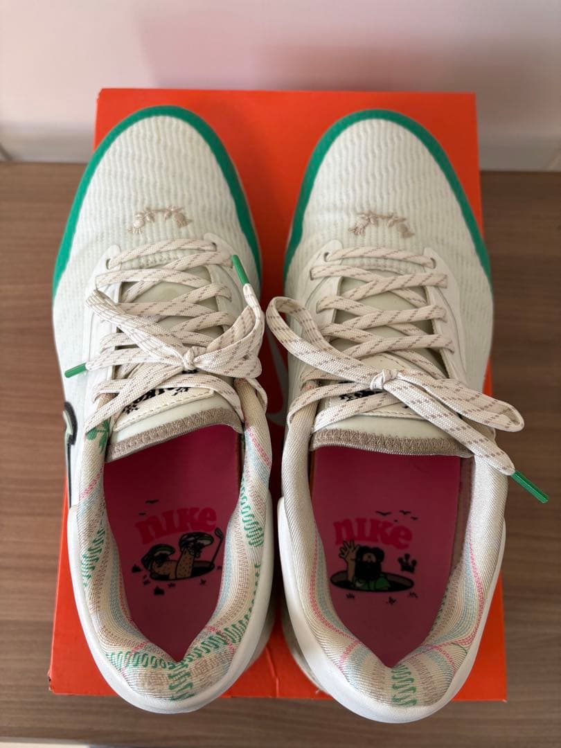 Nike air zoom INFINITY ツアーネクスト限定モデル 27.0