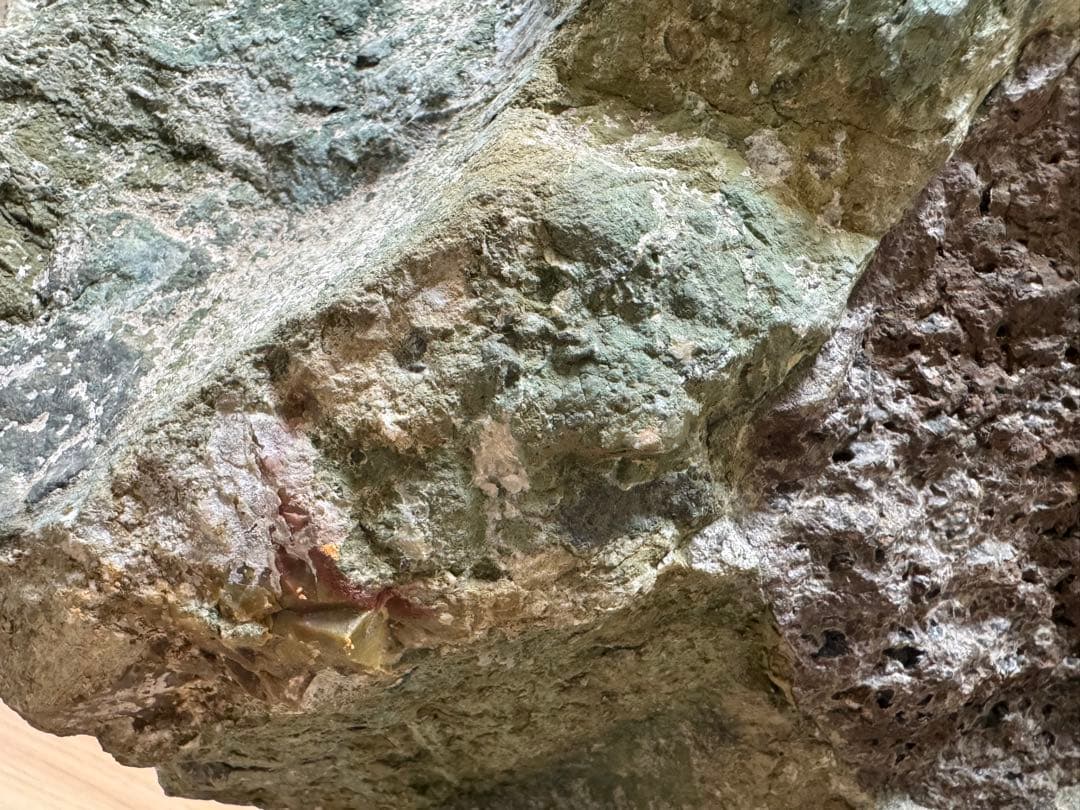 大型 下仁田 菊花石 菊寿石 鑑賞石 水石 自然石 盆石 盆栽 木製台座付き