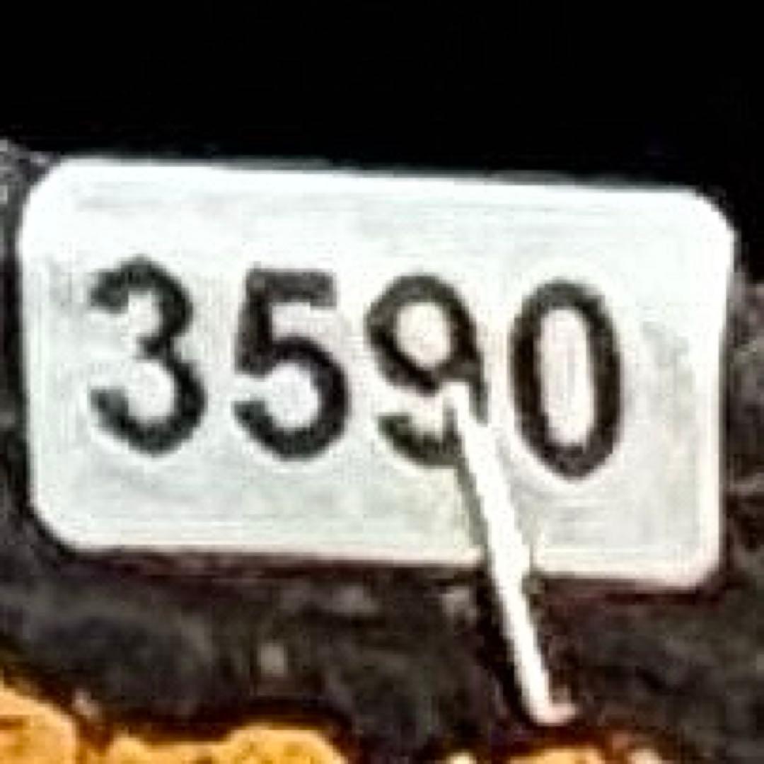 3590☘️蕾花付☘️極上☘️オレンジピンクアプリ⭐️グラデーションピコ⭐️大輪超多弁⭐️