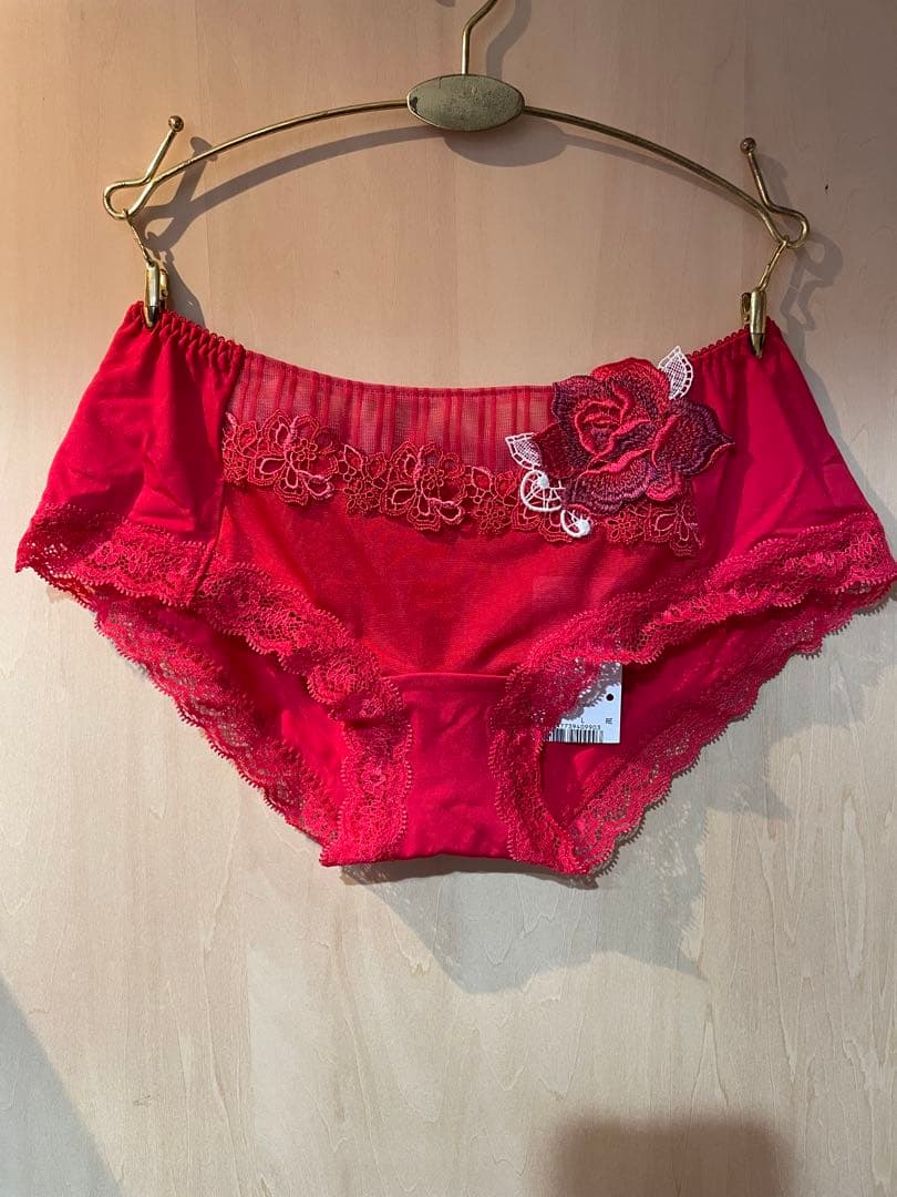サルートブラジャー D85ショーツLセット
