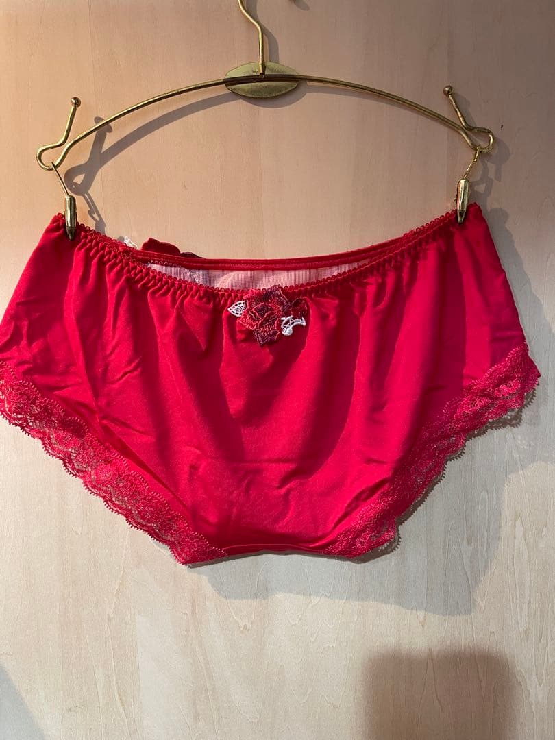 サルートブラジャー D85ショーツLセット