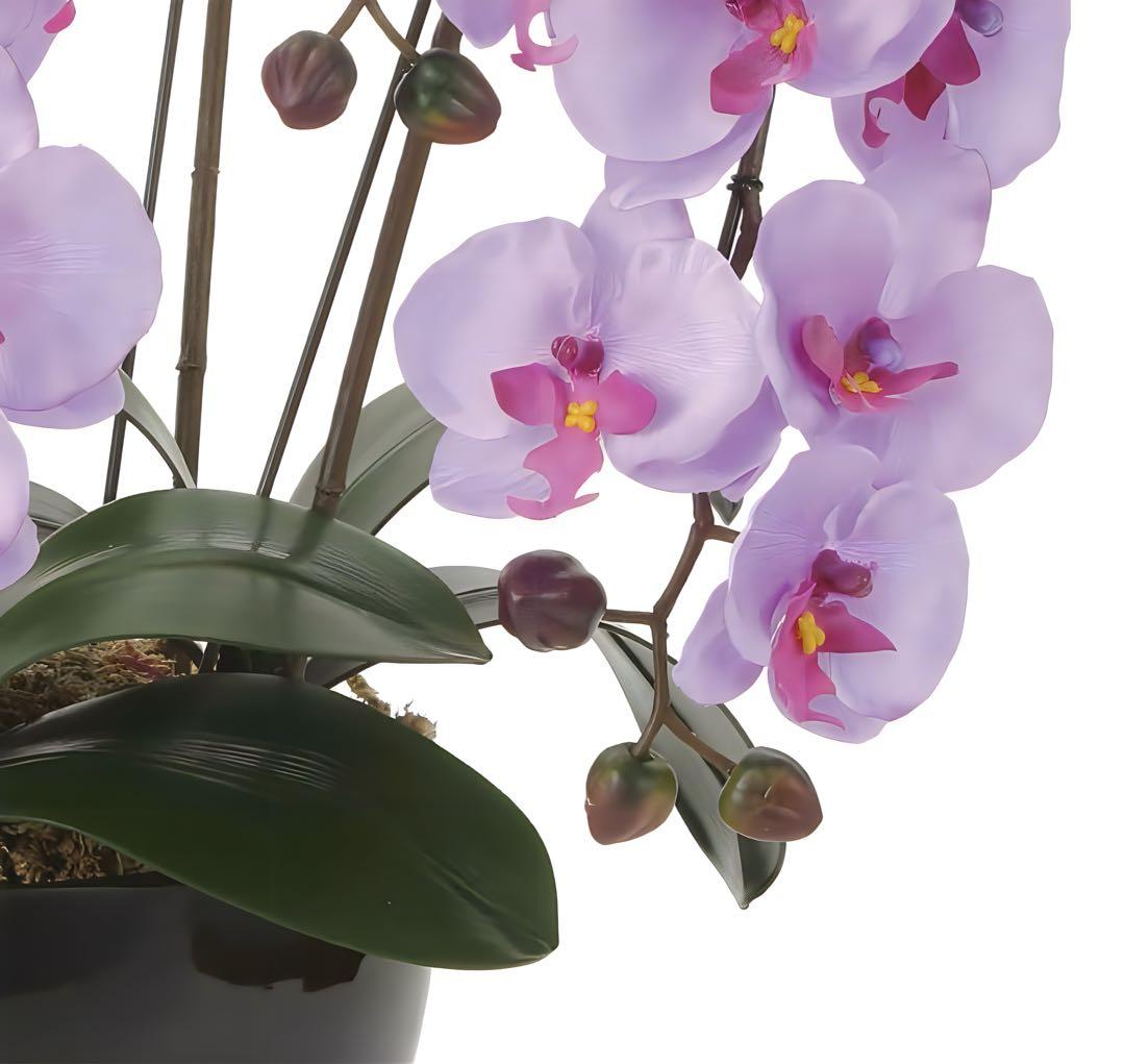 光触媒　人工観葉植物　ウォールグリーン　フェイクグリーン　クイーン胡蝶蘭５本立Ｌ