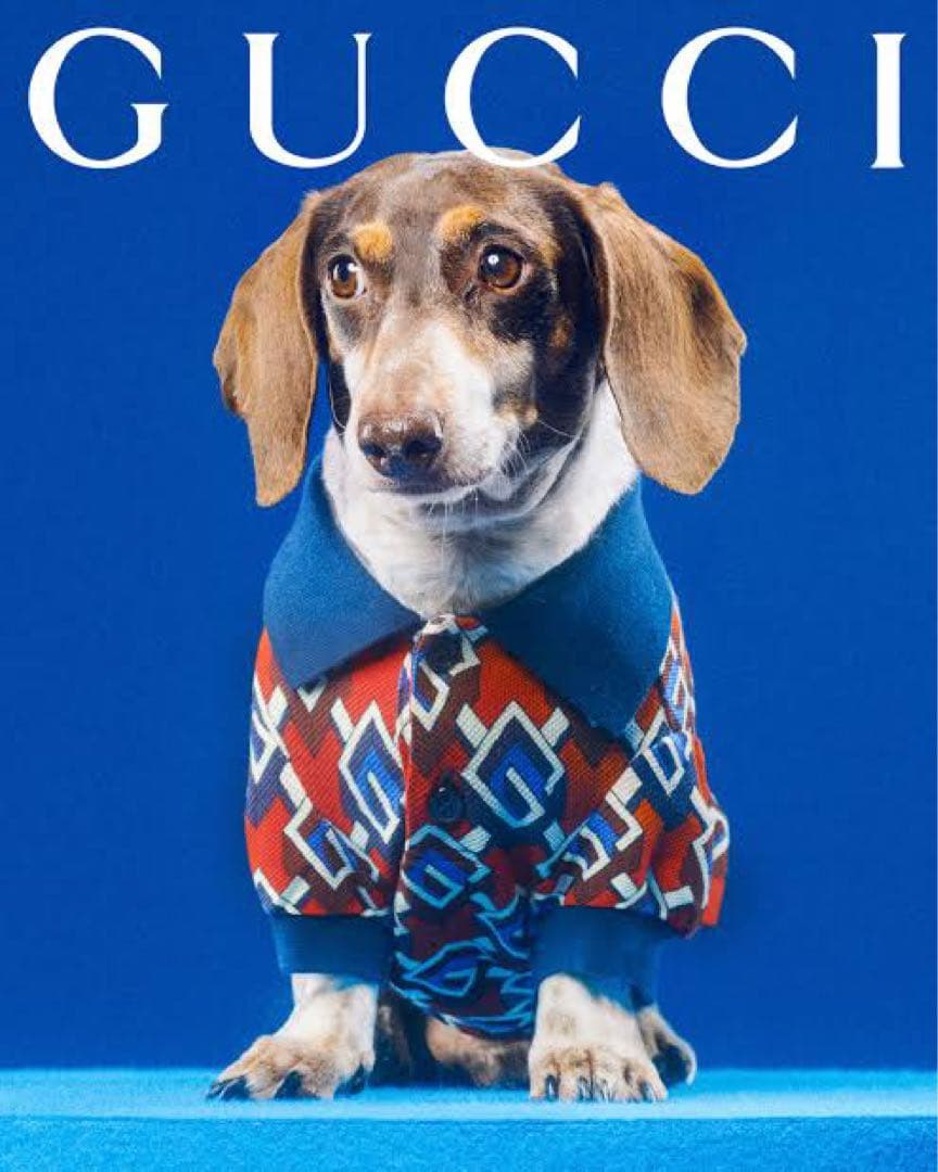 GUCCI ペット　ジオメトリック　xxs