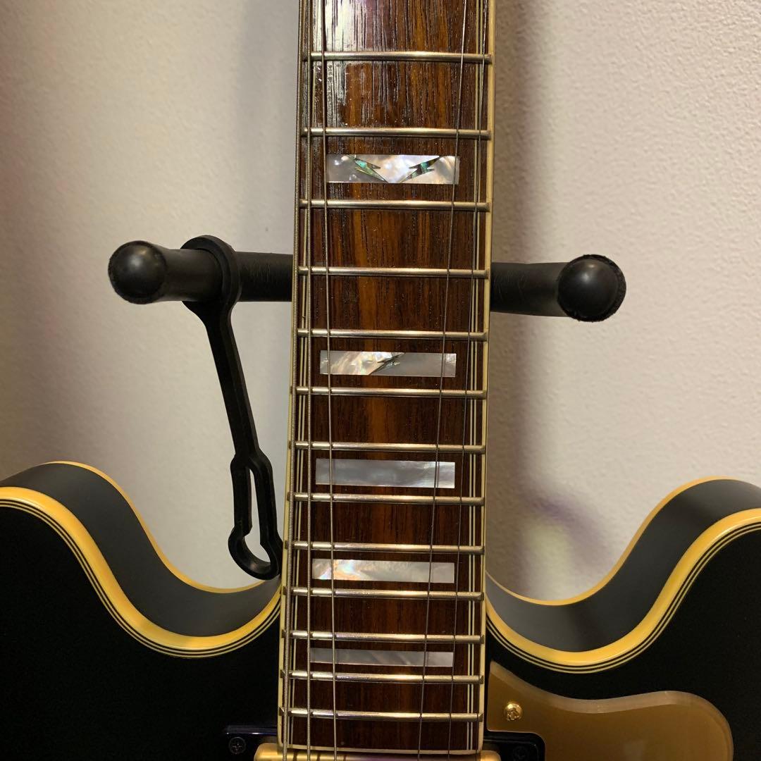 ギター Epiphone Emily Wolfe Sheraton Stealth