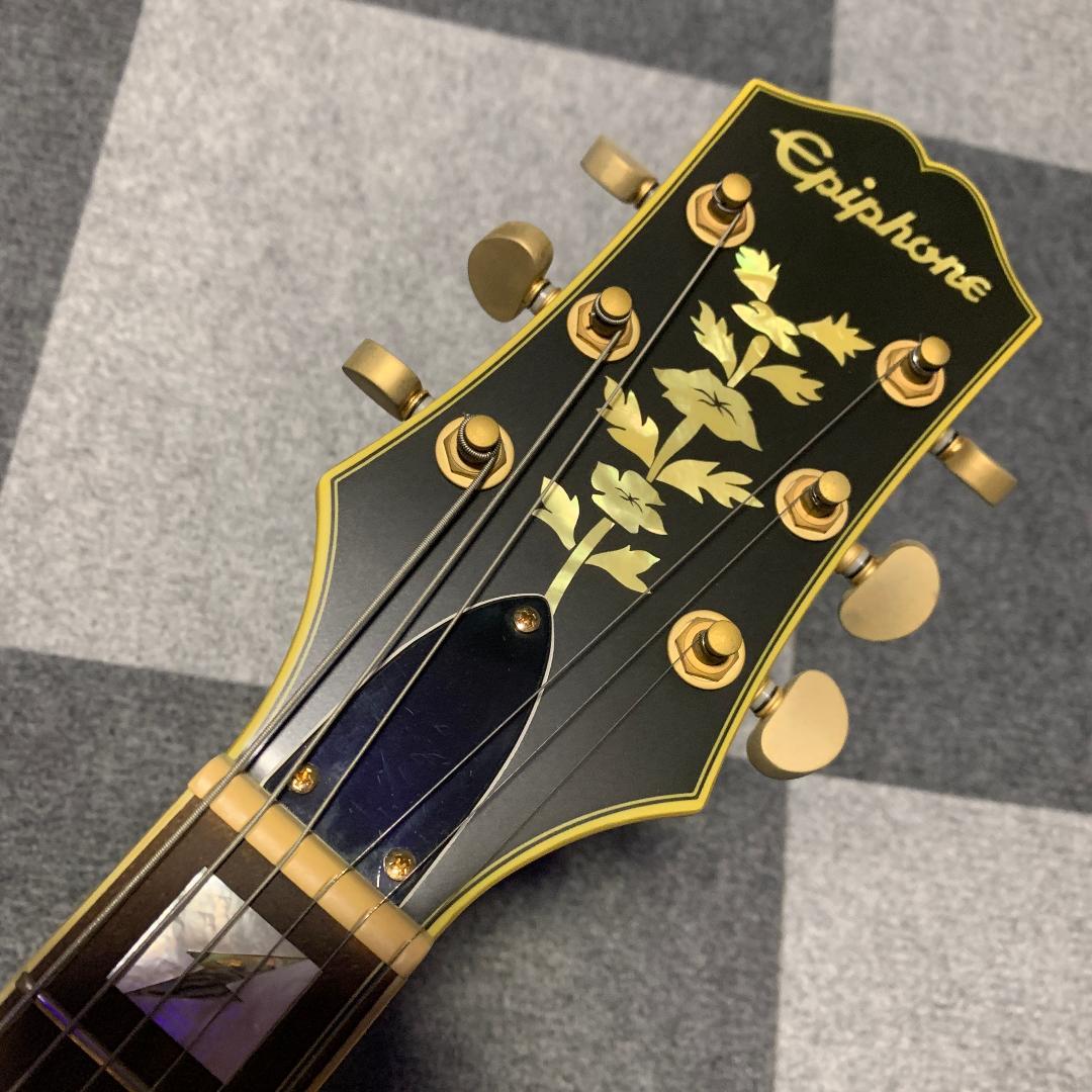 ギター Epiphone Emily Wolfe Sheraton Stealth