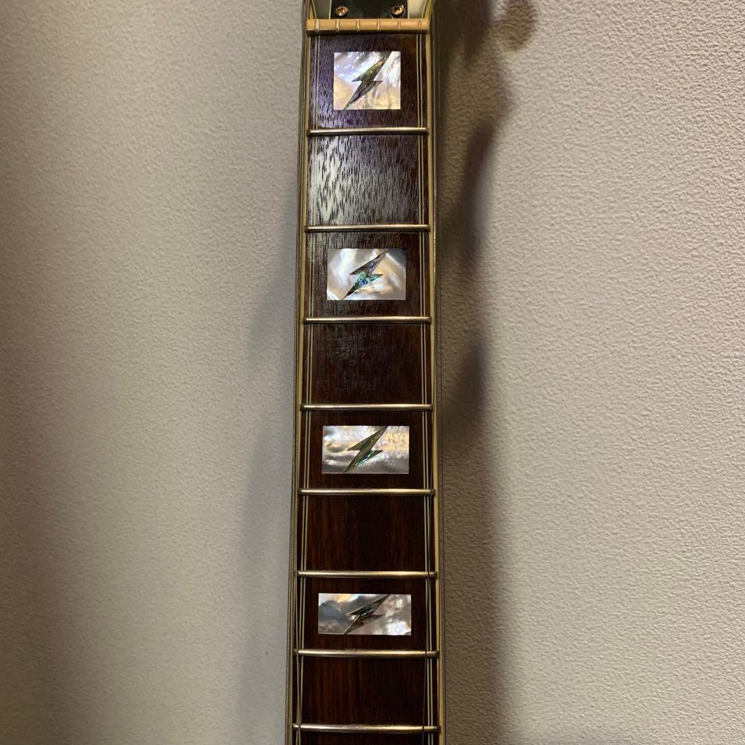 ギター Epiphone Emily Wolfe Sheraton Stealth