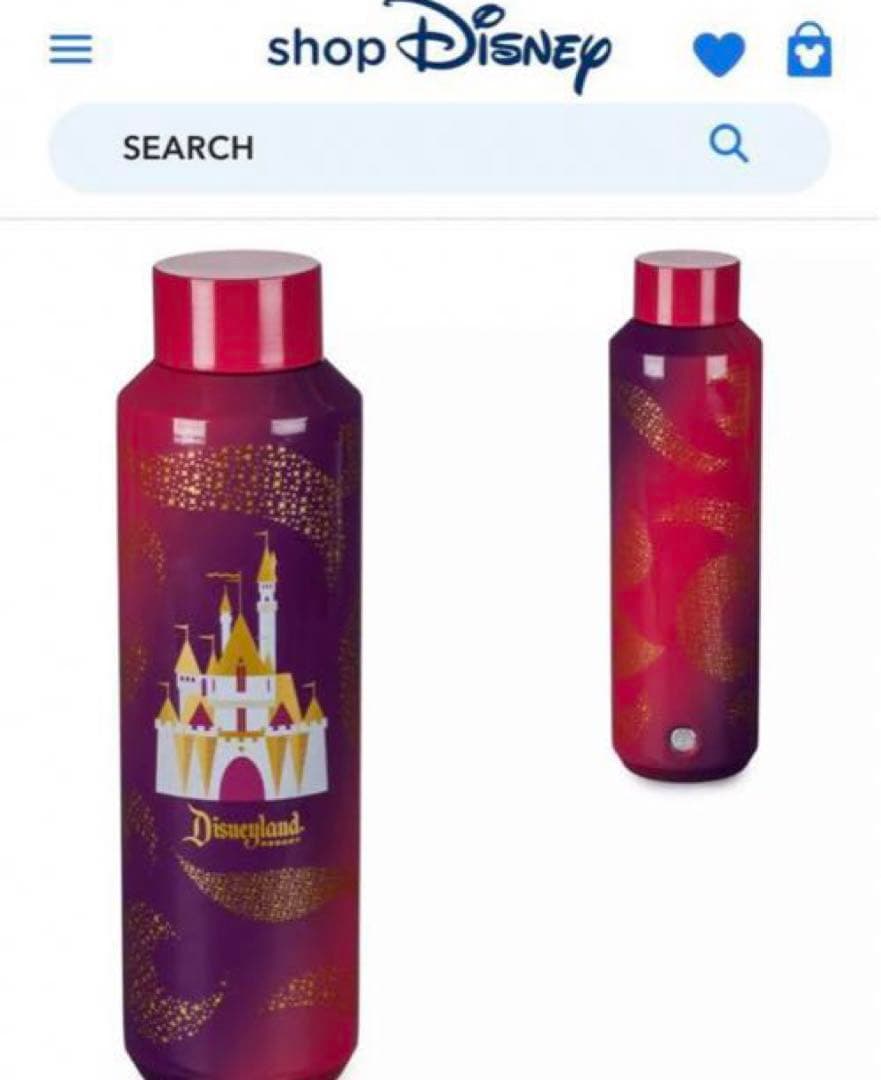 海外限定 ディズニーランド × Starbucks ステンレスタンブラー