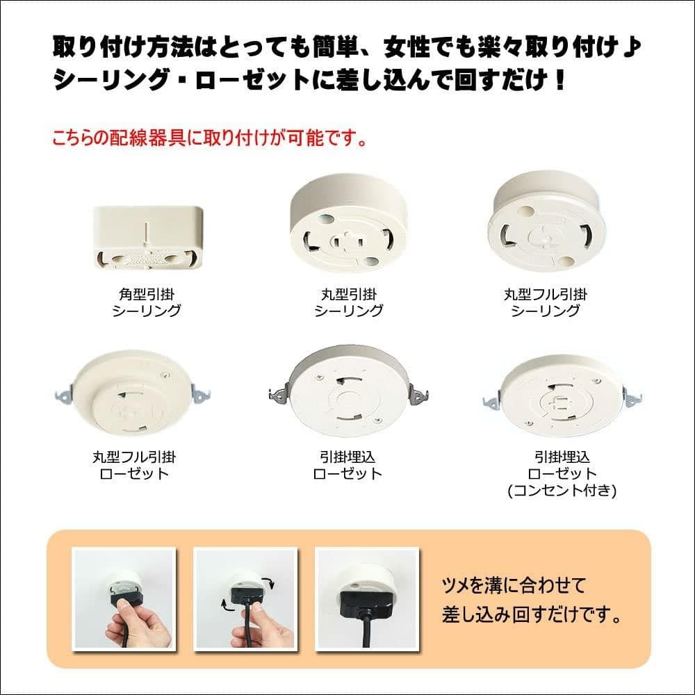 ioi24 訳あり カピス ロータス ホワイト オレンジの２個 F-77