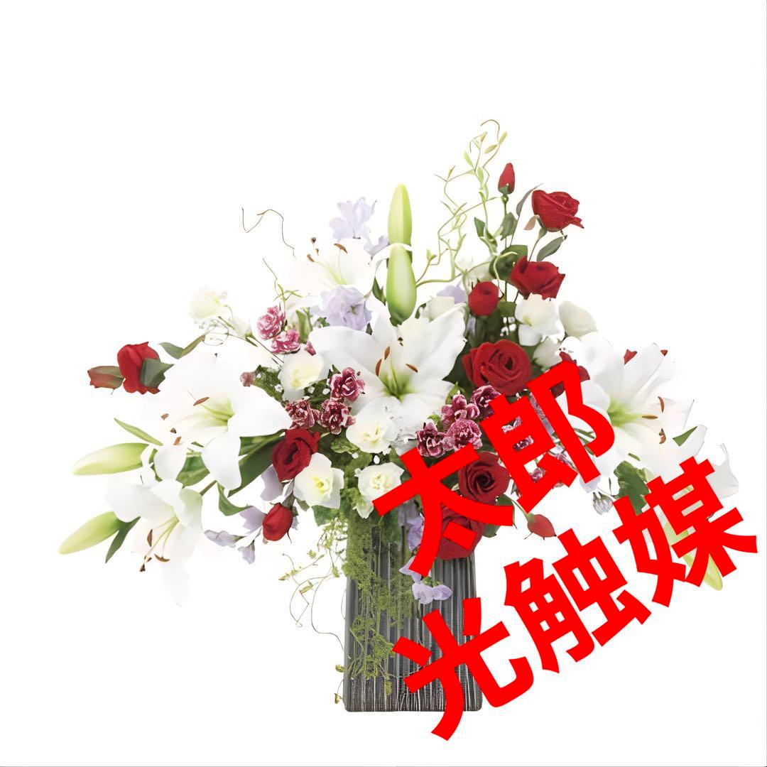 光触媒　人工観葉植物　ウォールグリーン　フェイクグリーン　レッドエレガンス