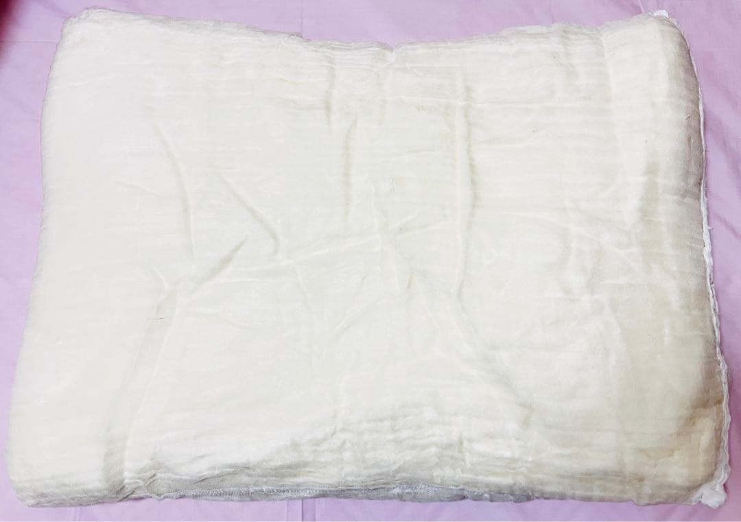 LILYSILK シルク枕 ホワイト 2点セット 50x70 真綿充填　カバー付