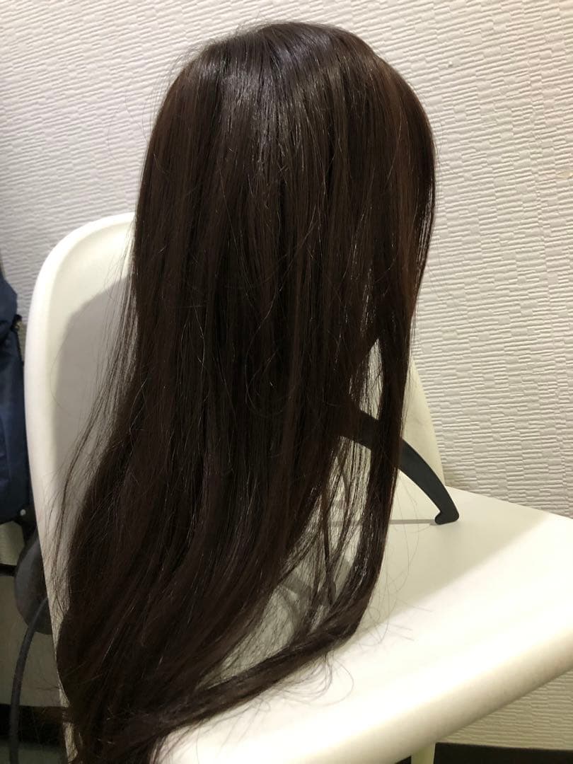 お値下げ❣️ピンクエイジ　ウィッグ　手植えフルウィッグ