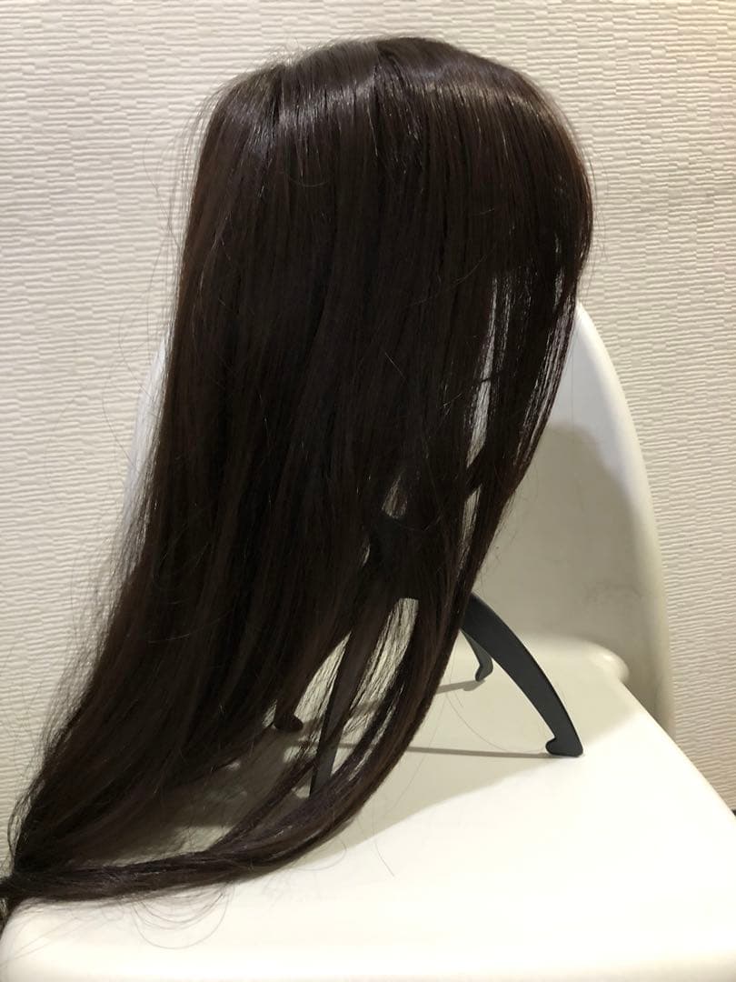 お値下げ❣️ピンクエイジ　ウィッグ　手植えフルウィッグ