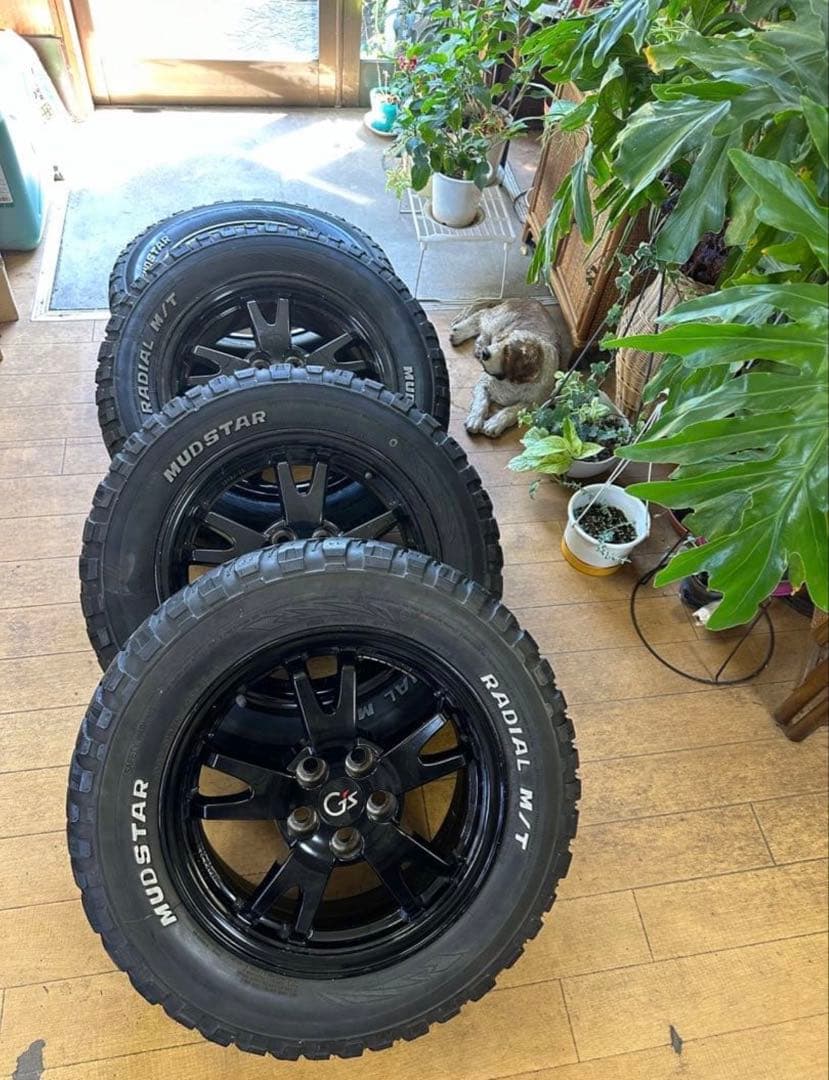 マリママ13 になります