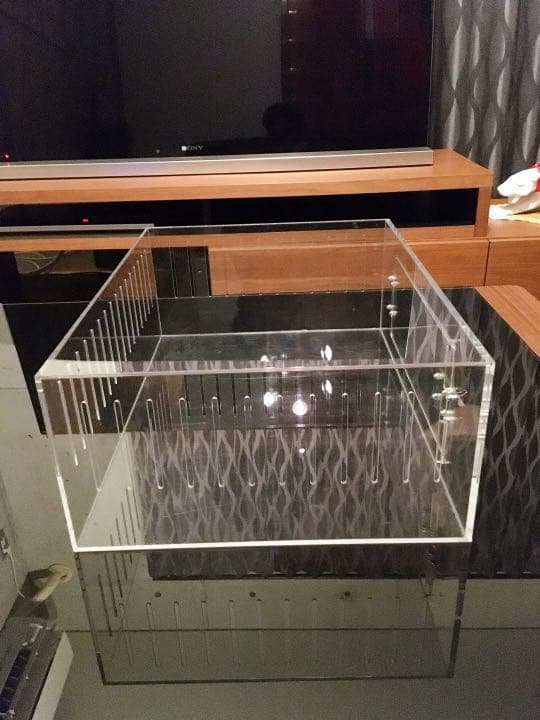 爬虫類ゲージ アクリルゲージ 【 No.3 】