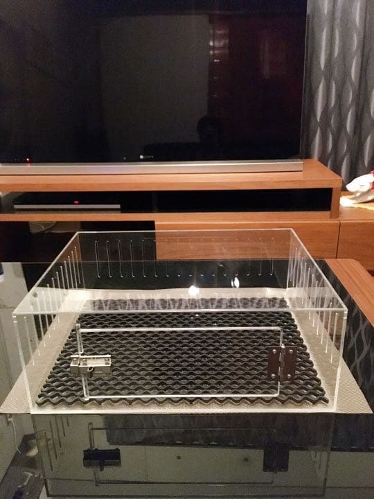 爬虫類ゲージ アクリルゲージ 【 No.3 】