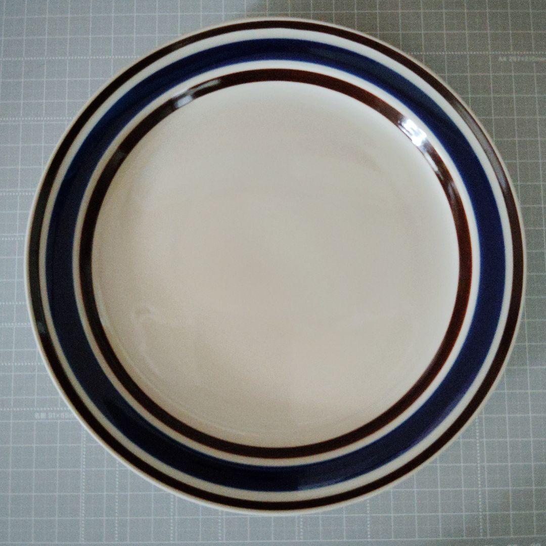 CATALINASTONE STONEWARE　皿　１０枚セット