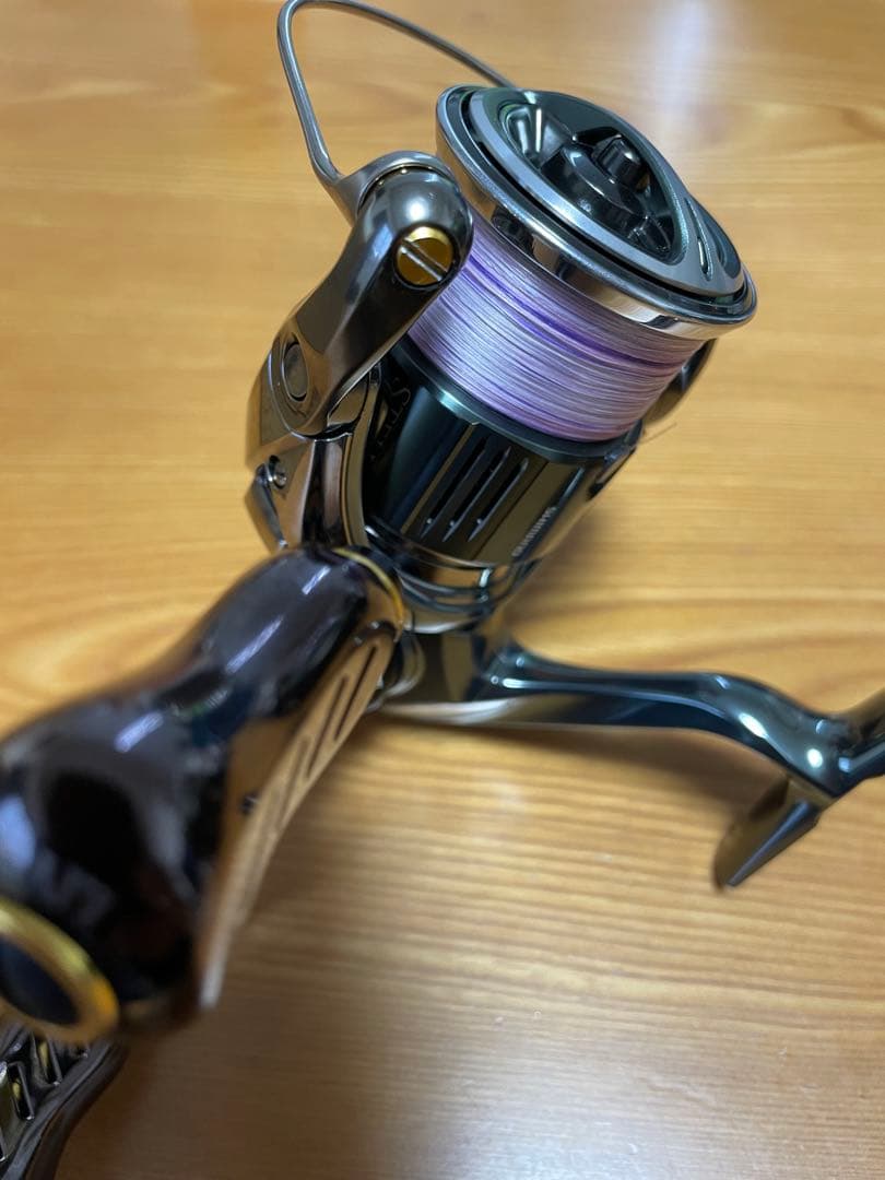 22ステラC3000SDHHG リブレWING100 カスタムバランサー
