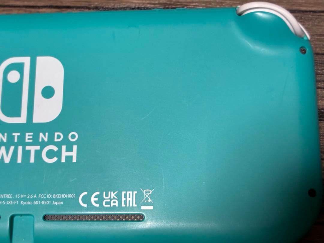 ニンテンドー スイッチ ライト Nintendo Switch Light
