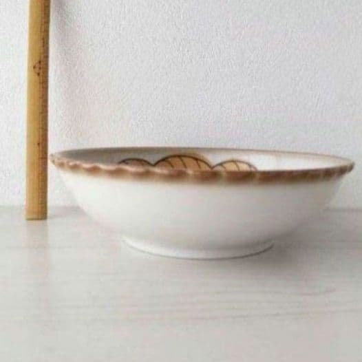 新品2点セット　美濃焼　すくすく　16cm 中鉢　はな