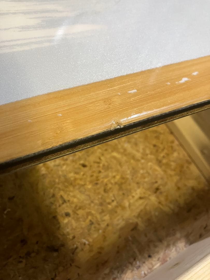 スノーボード SALOMON ASSASSIN 156 22-23