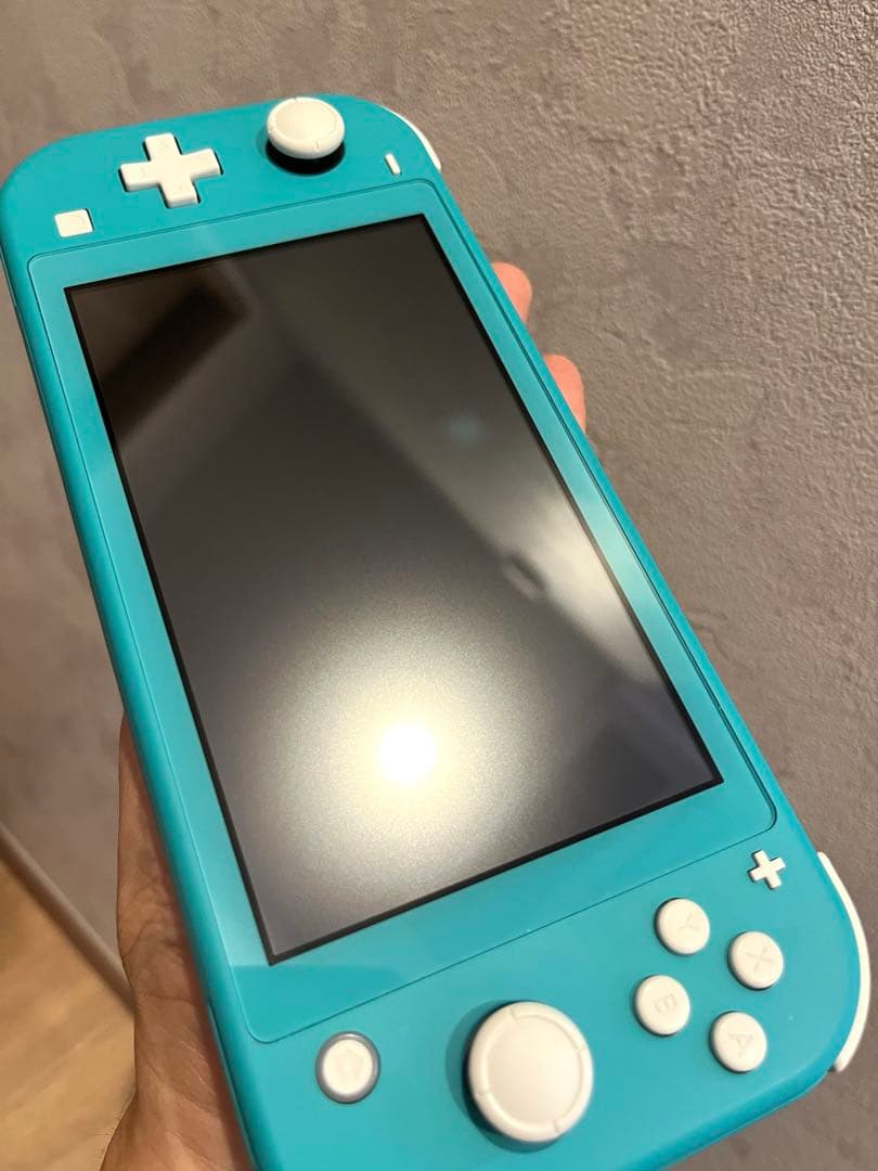 Switch Lite / microSDXC128GB / ACアダプタ