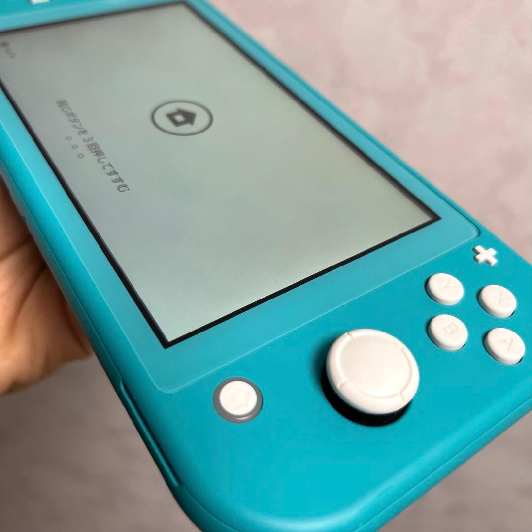 Switch Lite / microSDXC128GB / ACアダプタ