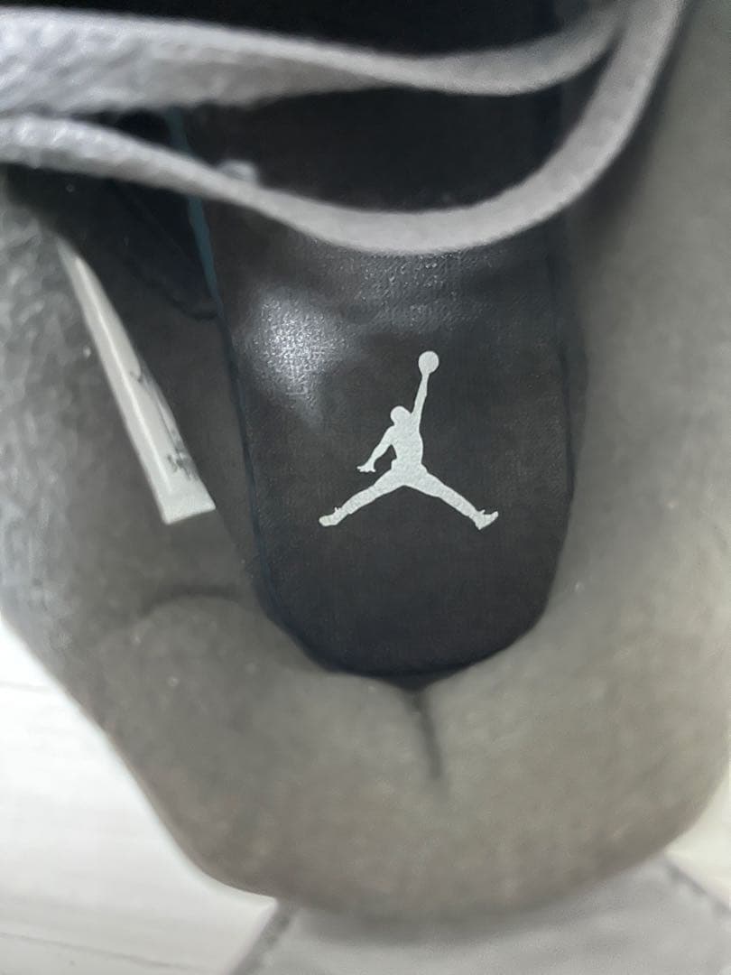 大哉 Air Jordan 4 グレー スニーカー