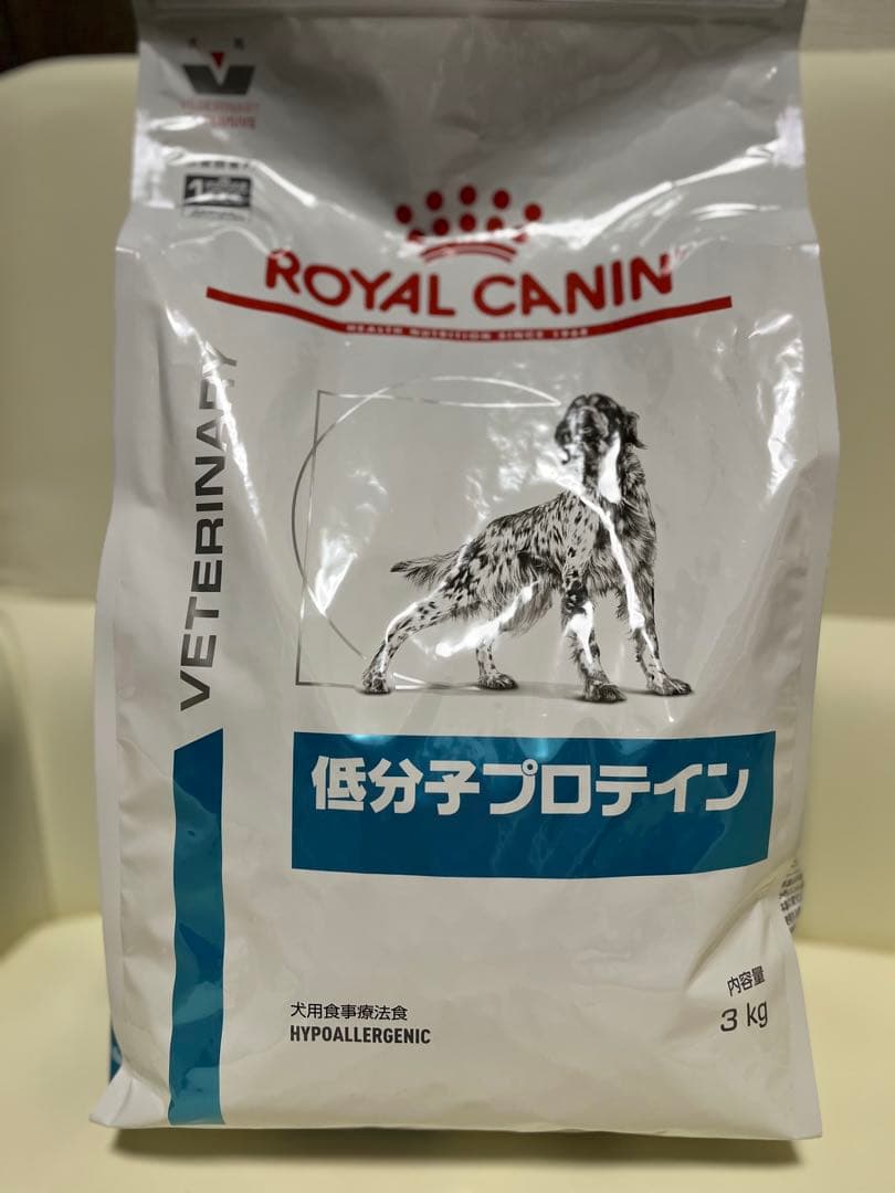 ちー