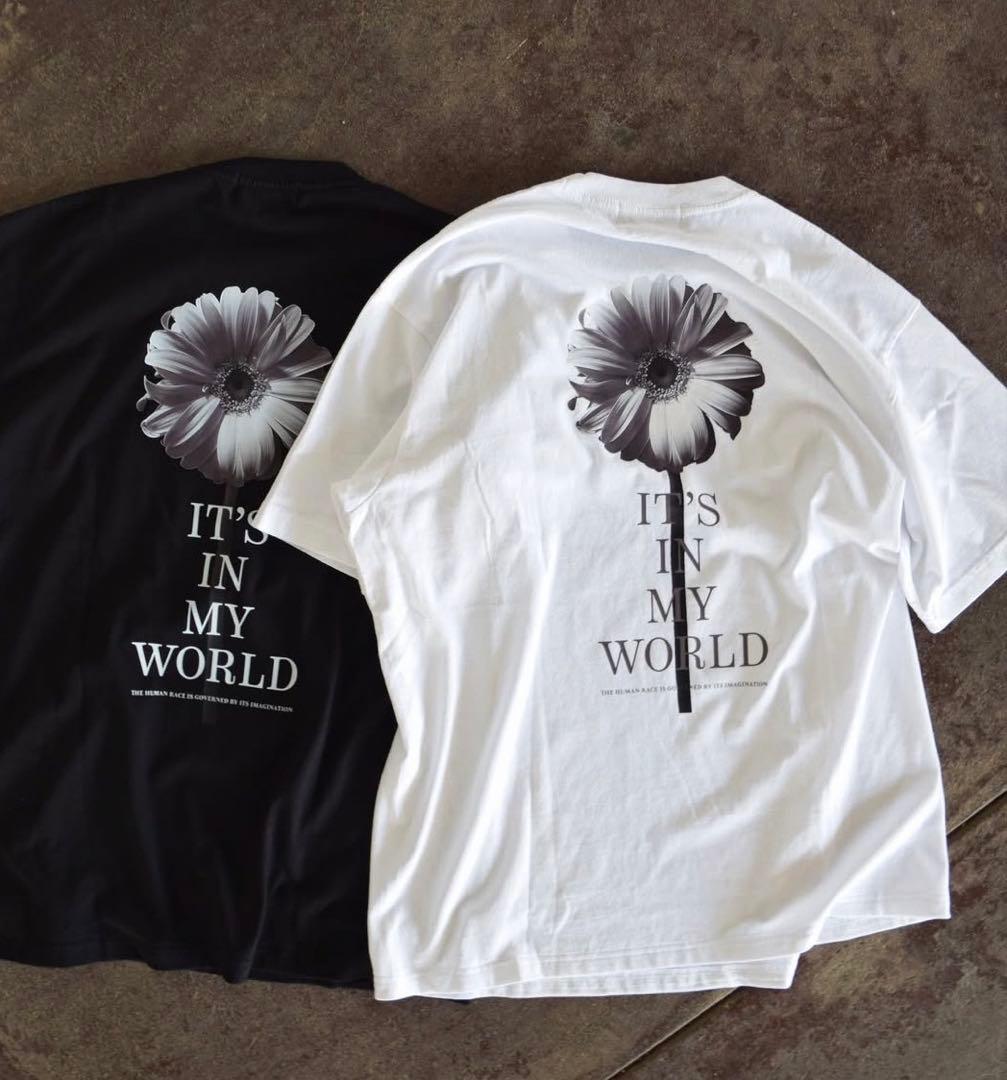 Echeveria エケベリア　Tシャツ　a tee