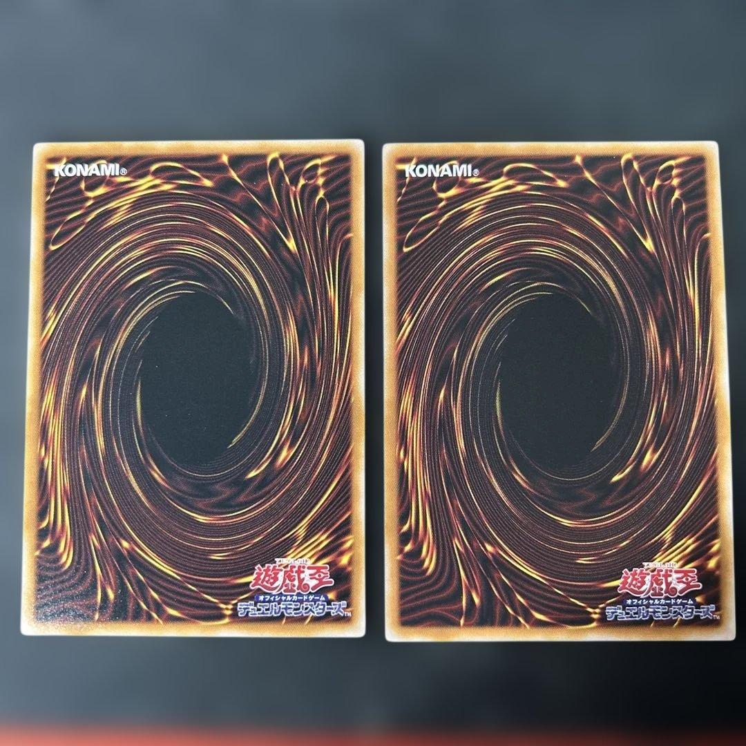 大輪の霊使い　大輪の魔導書　プリシク　各1枚