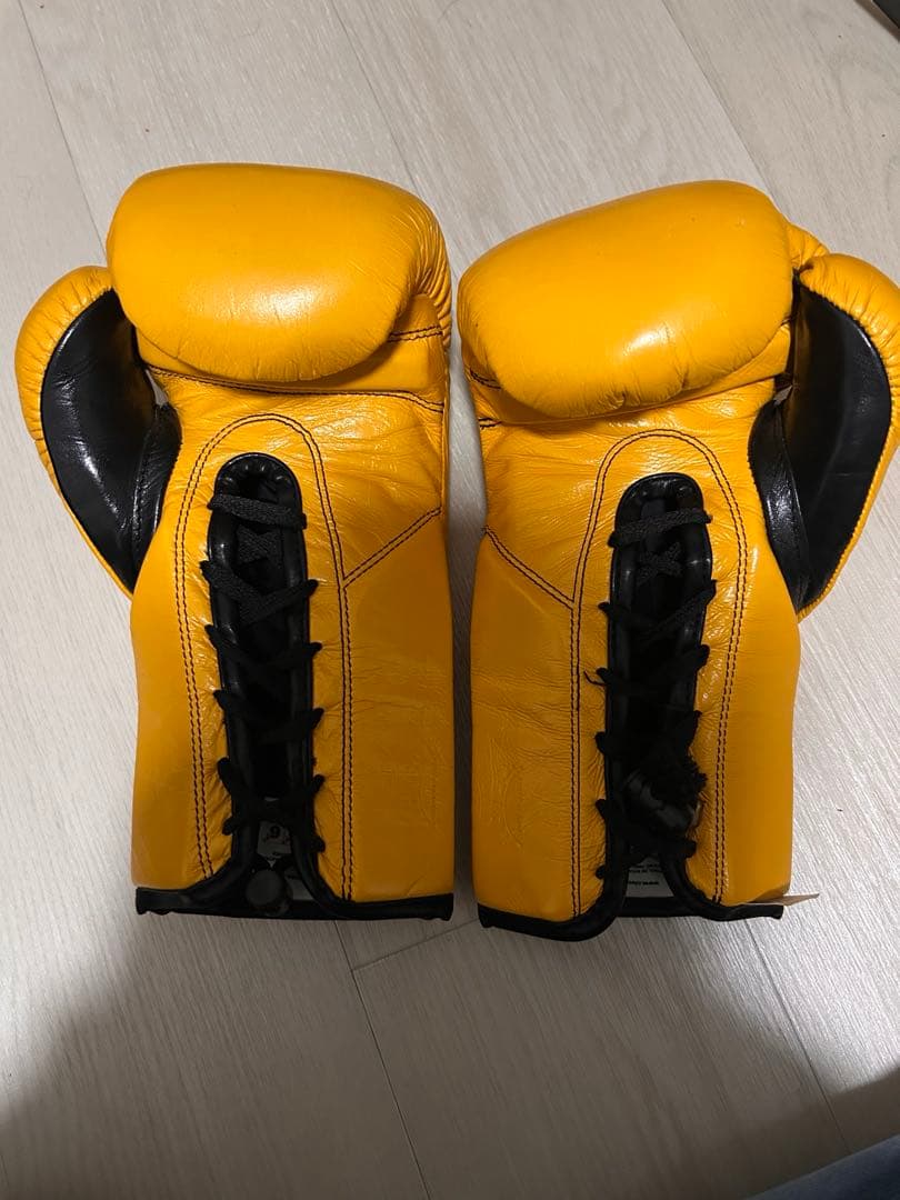 レイジェス　ボクシンググローブ8oz