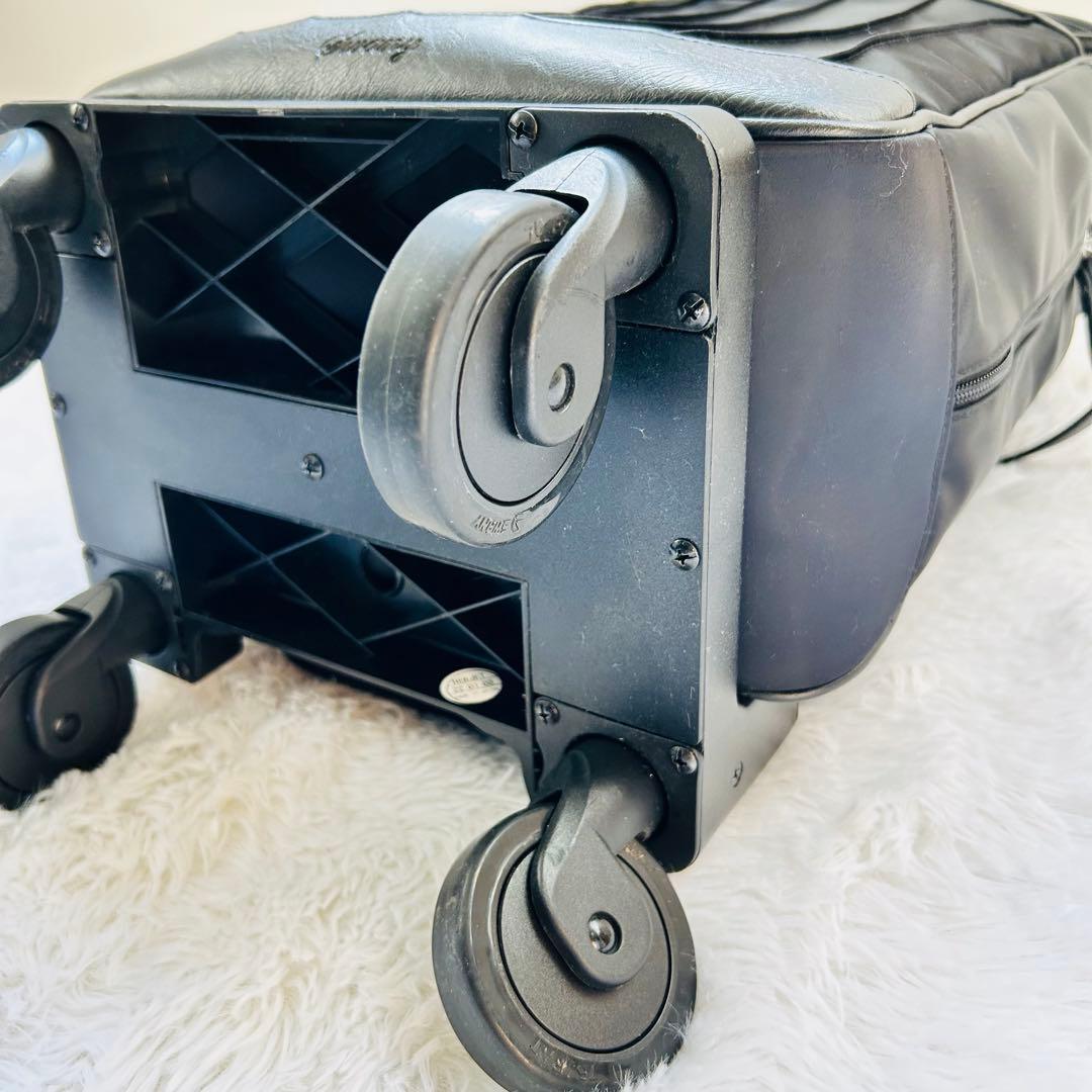 美品⭐︎スワニー キャリーバッグ リニーエ3 L21 ストッパー付 D-550