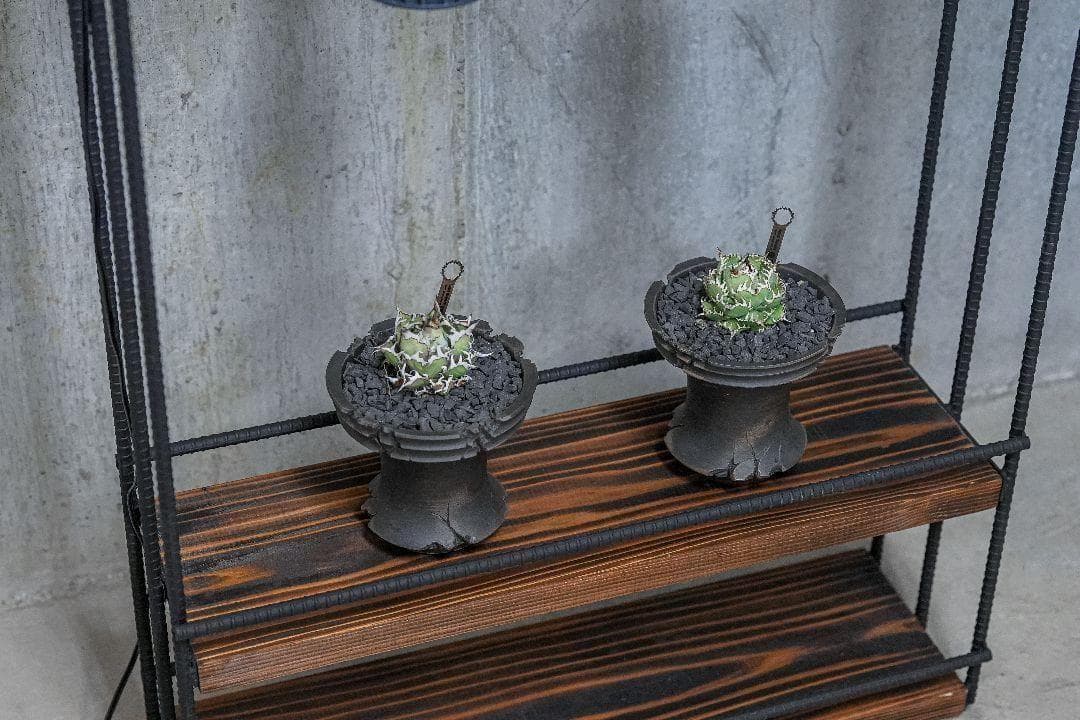 植物育成棚　ダクトレール付き アイアンシェルフ　男前インテリア 1027
