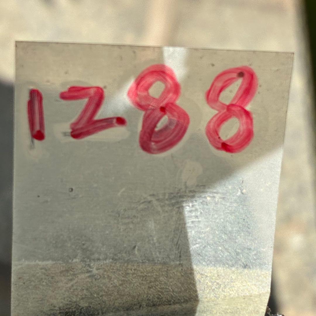 ラ*ク様 ❤️開花株❤️プチプチ新芽❤️1288 小輪【⭐️2024 NO1⭐️